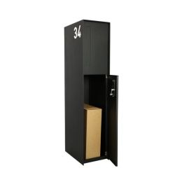 eSafe Fenix Front pakketbrievenbus - zwart